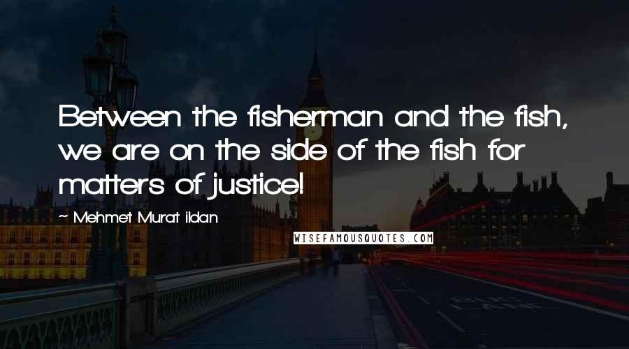 Mehmet Murat Ildan Quotes: Between the fisherman and the fish, we are on the side of the fish for matters of justice!