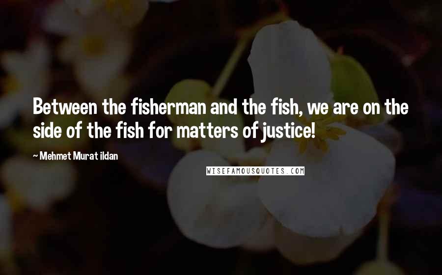 Mehmet Murat Ildan Quotes: Between the fisherman and the fish, we are on the side of the fish for matters of justice!
