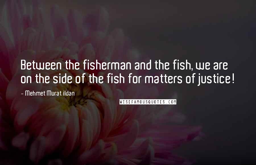 Mehmet Murat Ildan Quotes: Between the fisherman and the fish, we are on the side of the fish for matters of justice!