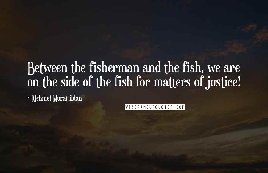 Mehmet Murat Ildan Quotes: Between the fisherman and the fish, we are on the side of the fish for matters of justice!