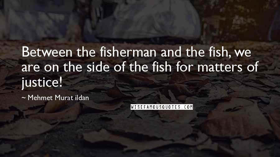 Mehmet Murat Ildan Quotes: Between the fisherman and the fish, we are on the side of the fish for matters of justice!