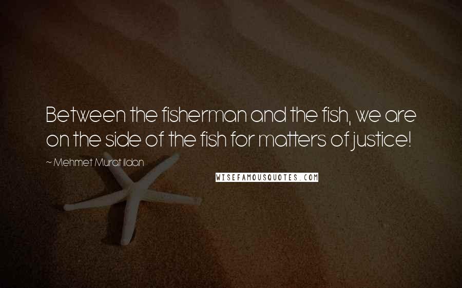 Mehmet Murat Ildan Quotes: Between the fisherman and the fish, we are on the side of the fish for matters of justice!