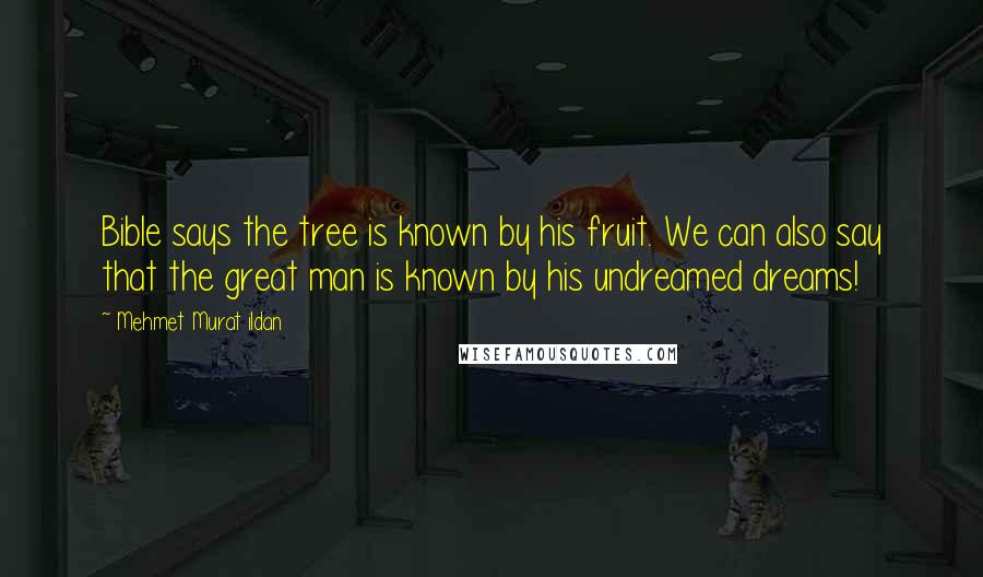 Mehmet Murat Ildan Quotes: Bible says the tree is known by his fruit. We can also say that the great man is known by his undreamed dreams!