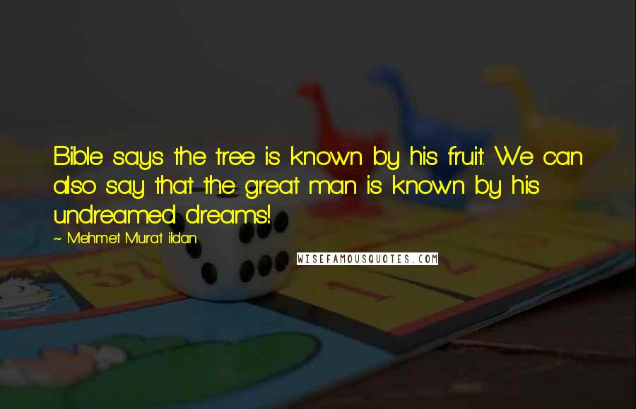 Mehmet Murat Ildan Quotes: Bible says the tree is known by his fruit. We can also say that the great man is known by his undreamed dreams!