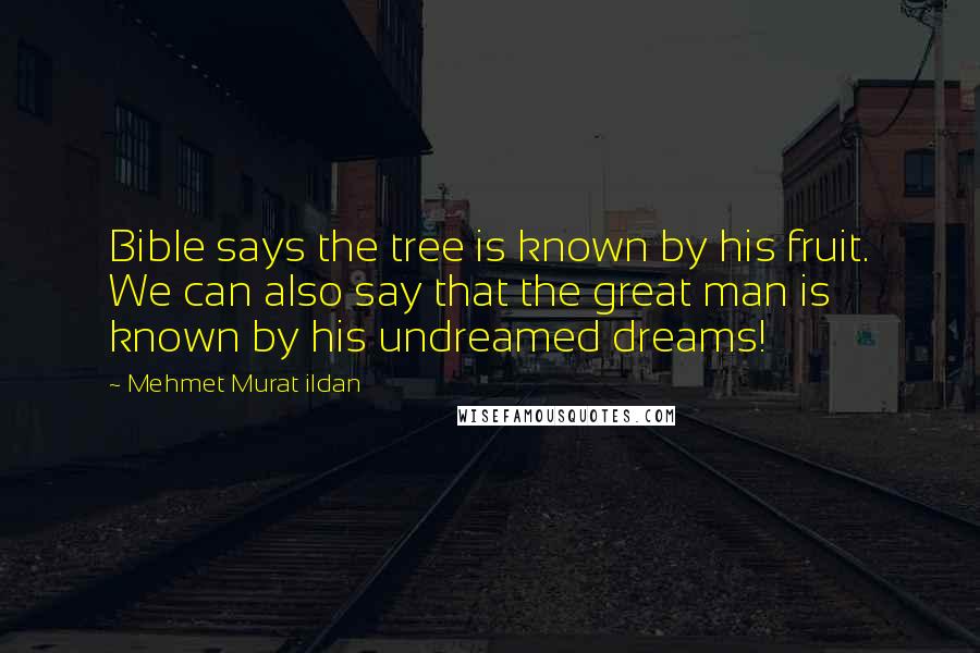 Mehmet Murat Ildan Quotes: Bible says the tree is known by his fruit. We can also say that the great man is known by his undreamed dreams!