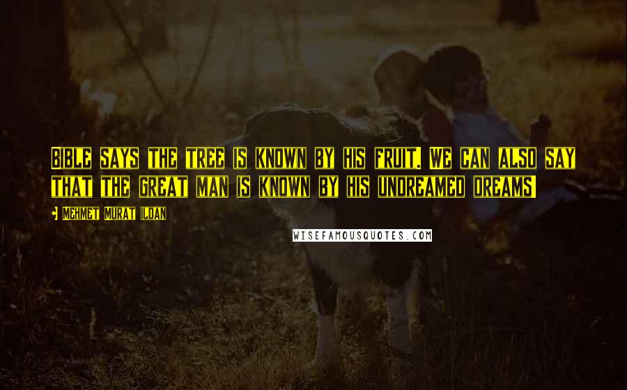 Mehmet Murat Ildan Quotes: Bible says the tree is known by his fruit. We can also say that the great man is known by his undreamed dreams!