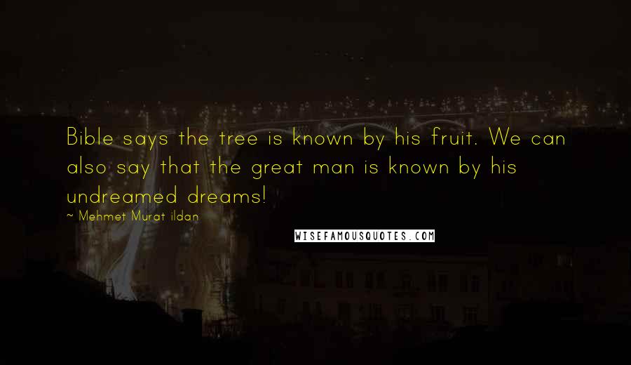 Mehmet Murat Ildan Quotes: Bible says the tree is known by his fruit. We can also say that the great man is known by his undreamed dreams!