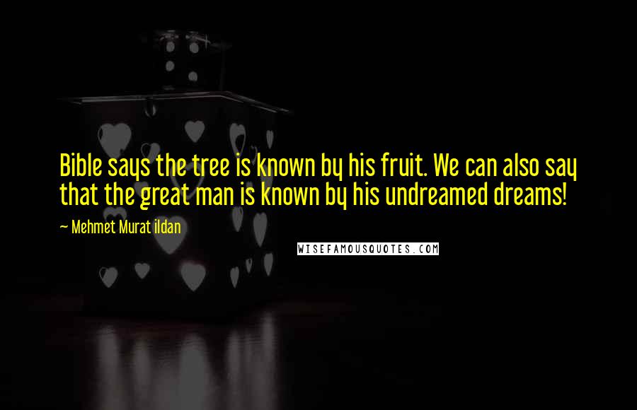 Mehmet Murat Ildan Quotes: Bible says the tree is known by his fruit. We can also say that the great man is known by his undreamed dreams!