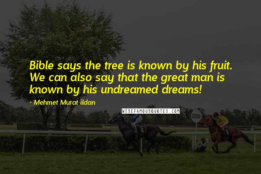 Mehmet Murat Ildan Quotes: Bible says the tree is known by his fruit. We can also say that the great man is known by his undreamed dreams!
