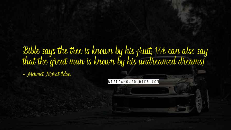 Mehmet Murat Ildan Quotes: Bible says the tree is known by his fruit. We can also say that the great man is known by his undreamed dreams!