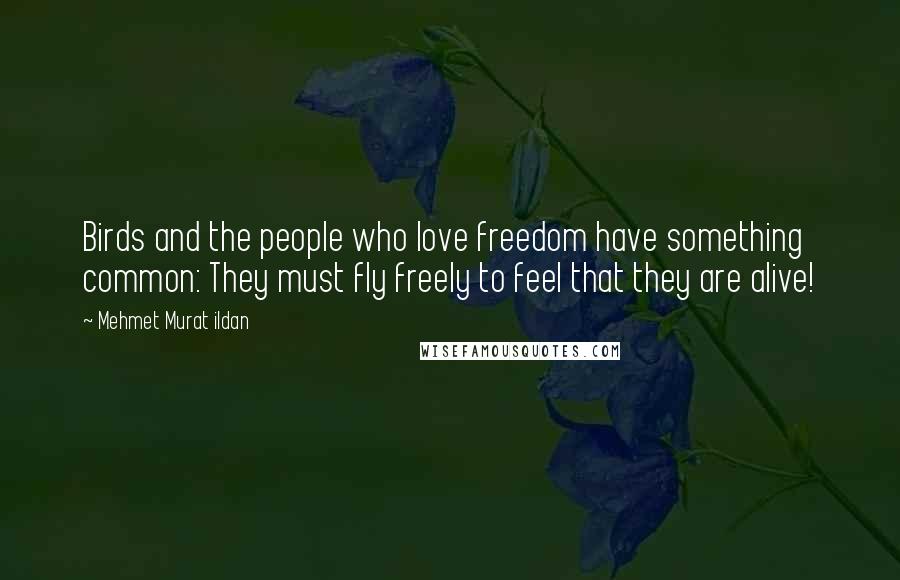 Mehmet Murat Ildan Quotes: Birds and the people who love freedom have something common: They must fly freely to feel that they are alive!