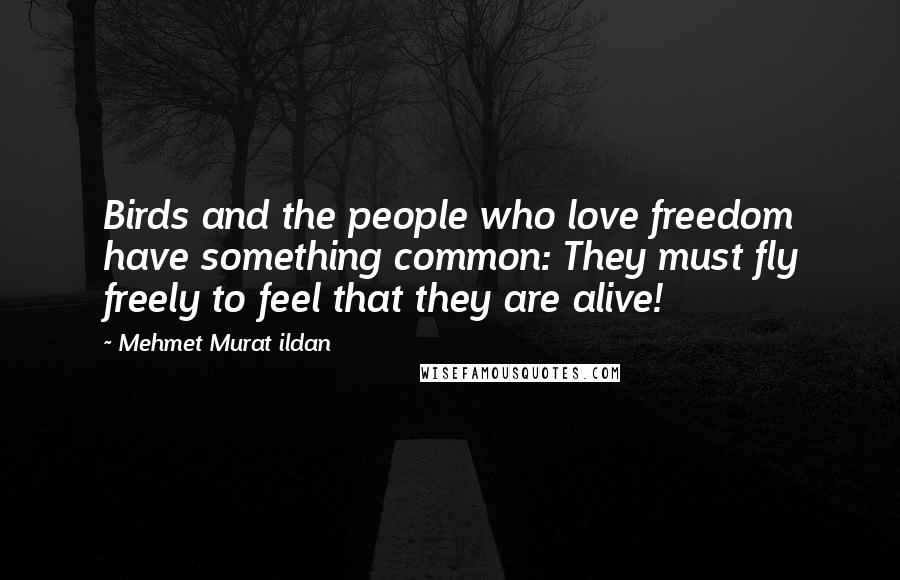 Mehmet Murat Ildan Quotes: Birds and the people who love freedom have something common: They must fly freely to feel that they are alive!