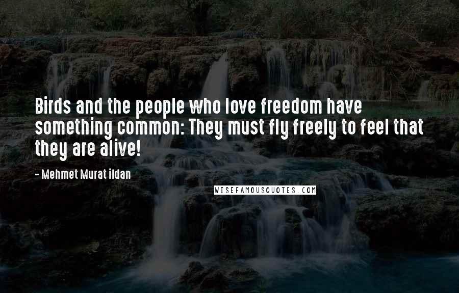 Mehmet Murat Ildan Quotes: Birds and the people who love freedom have something common: They must fly freely to feel that they are alive!