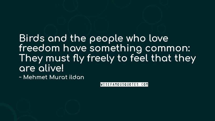 Mehmet Murat Ildan Quotes: Birds and the people who love freedom have something common: They must fly freely to feel that they are alive!