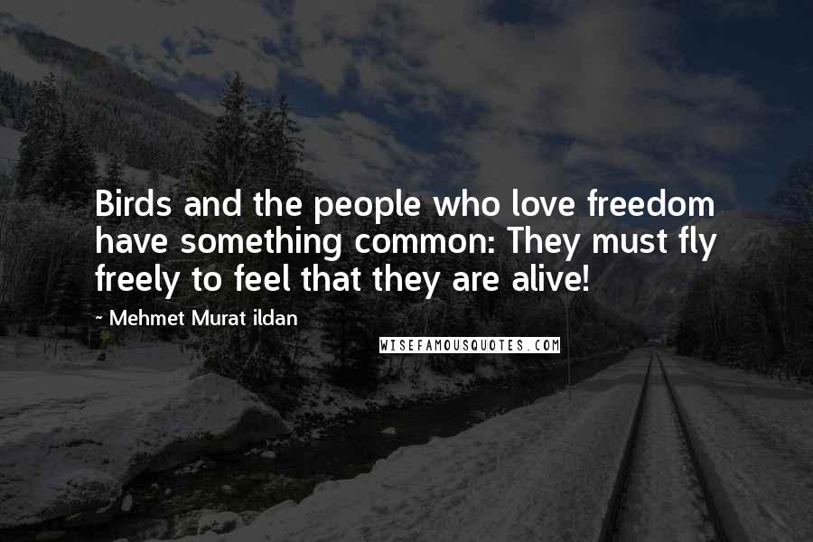 Mehmet Murat Ildan Quotes: Birds and the people who love freedom have something common: They must fly freely to feel that they are alive!