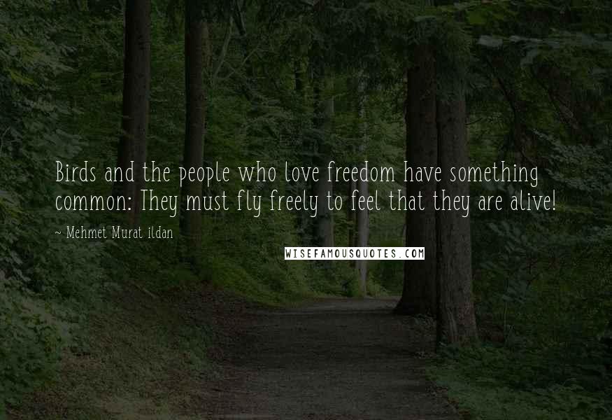 Mehmet Murat Ildan Quotes: Birds and the people who love freedom have something common: They must fly freely to feel that they are alive!