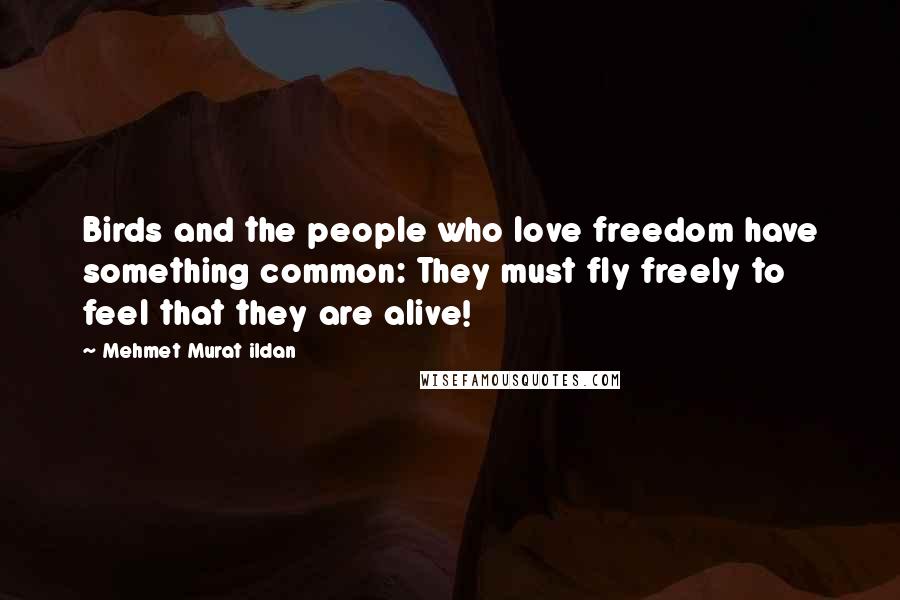 Mehmet Murat Ildan Quotes: Birds and the people who love freedom have something common: They must fly freely to feel that they are alive!