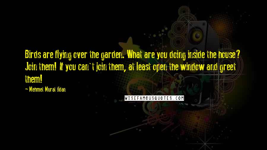 Mehmet Murat Ildan Quotes: Birds are flying over the garden. What are you doing inside the house? Join them! If you can't join them, at least open the window and greet them!