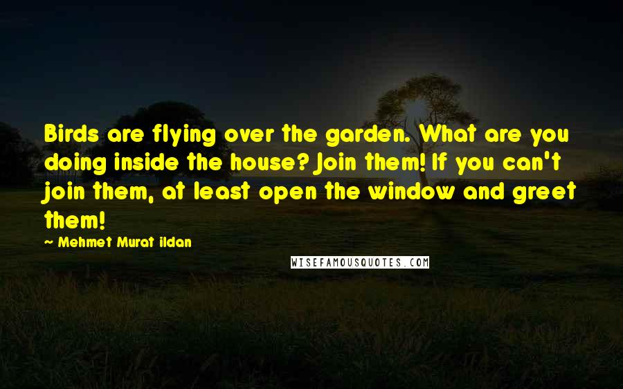 Mehmet Murat Ildan Quotes: Birds are flying over the garden. What are you doing inside the house? Join them! If you can't join them, at least open the window and greet them!