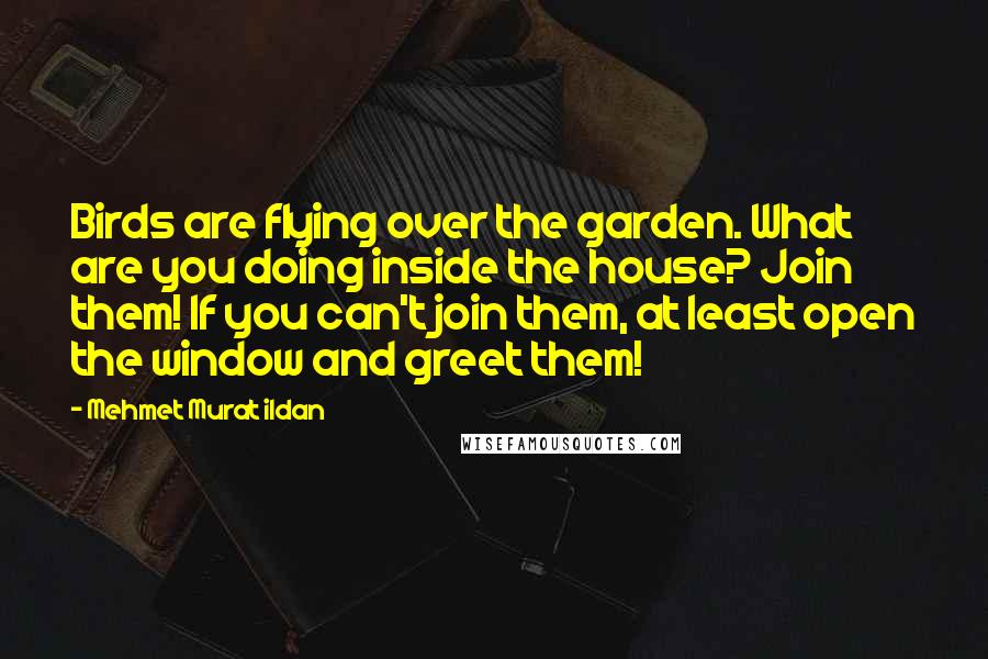 Mehmet Murat Ildan Quotes: Birds are flying over the garden. What are you doing inside the house? Join them! If you can't join them, at least open the window and greet them!