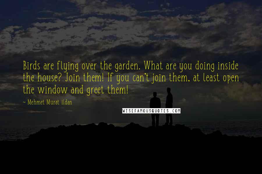 Mehmet Murat Ildan Quotes: Birds are flying over the garden. What are you doing inside the house? Join them! If you can't join them, at least open the window and greet them!