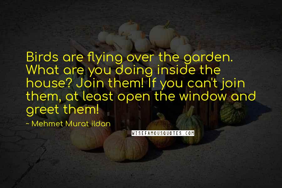 Mehmet Murat Ildan Quotes: Birds are flying over the garden. What are you doing inside the house? Join them! If you can't join them, at least open the window and greet them!