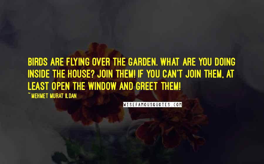 Mehmet Murat Ildan Quotes: Birds are flying over the garden. What are you doing inside the house? Join them! If you can't join them, at least open the window and greet them!