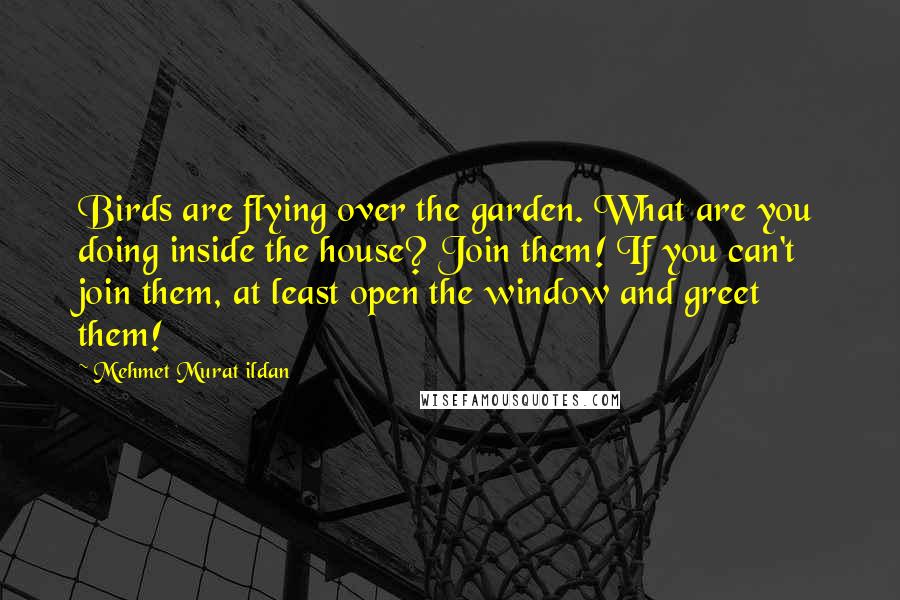 Mehmet Murat Ildan Quotes: Birds are flying over the garden. What are you doing inside the house? Join them! If you can't join them, at least open the window and greet them!