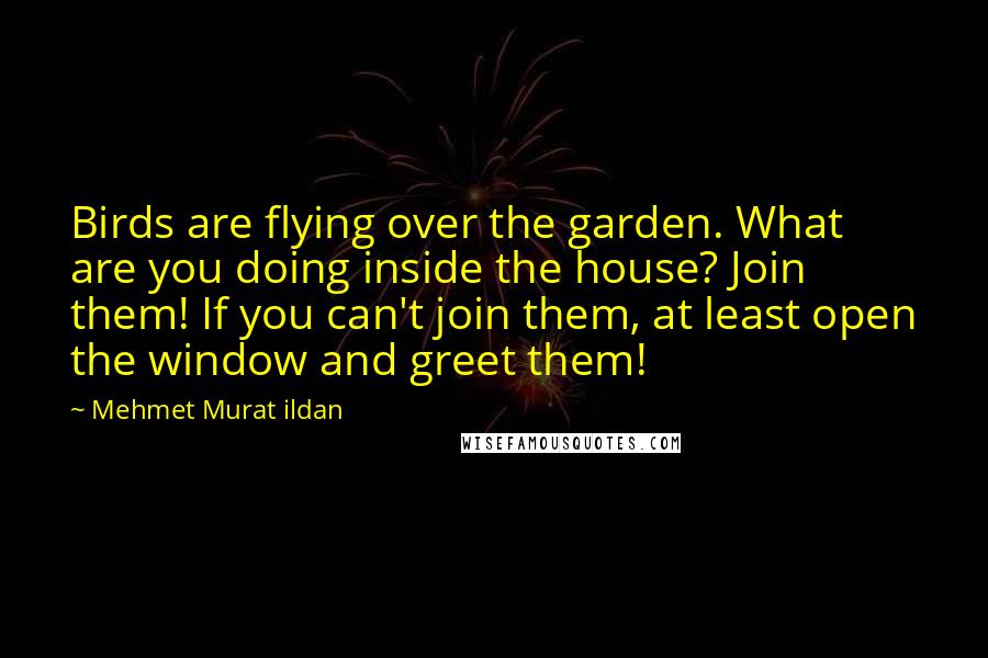 Mehmet Murat Ildan Quotes: Birds are flying over the garden. What are you doing inside the house? Join them! If you can't join them, at least open the window and greet them!