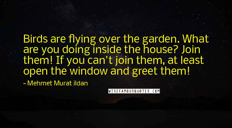 Mehmet Murat Ildan Quotes: Birds are flying over the garden. What are you doing inside the house? Join them! If you can't join them, at least open the window and greet them!