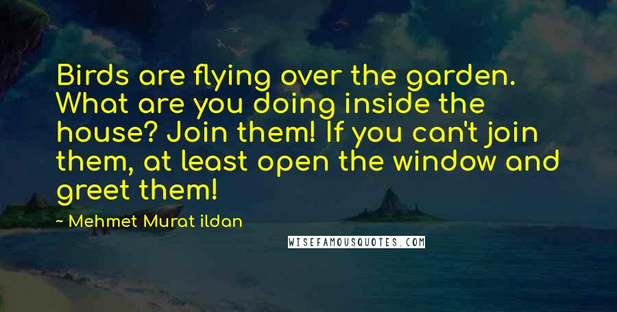 Mehmet Murat Ildan Quotes: Birds are flying over the garden. What are you doing inside the house? Join them! If you can't join them, at least open the window and greet them!