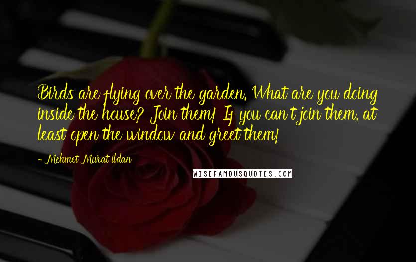 Mehmet Murat Ildan Quotes: Birds are flying over the garden. What are you doing inside the house? Join them! If you can't join them, at least open the window and greet them!