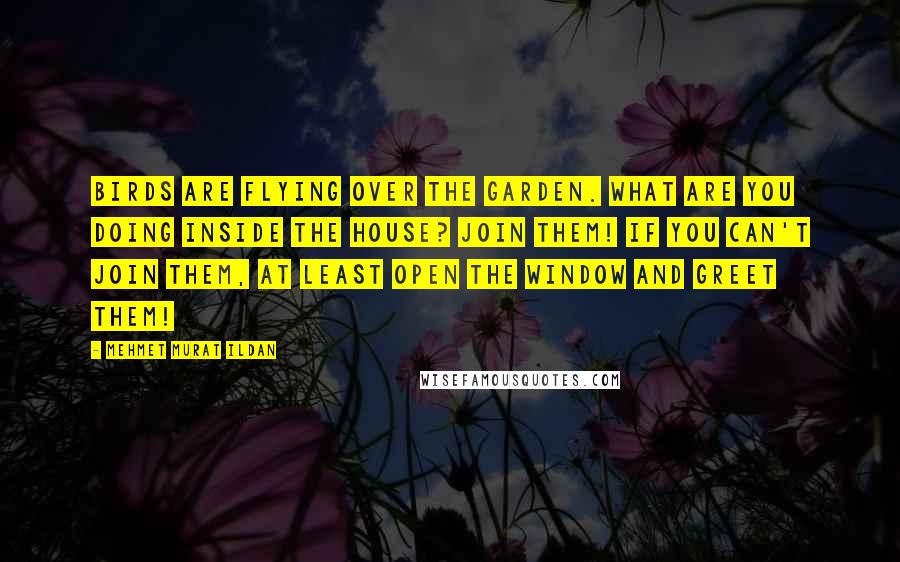 Mehmet Murat Ildan Quotes: Birds are flying over the garden. What are you doing inside the house? Join them! If you can't join them, at least open the window and greet them!