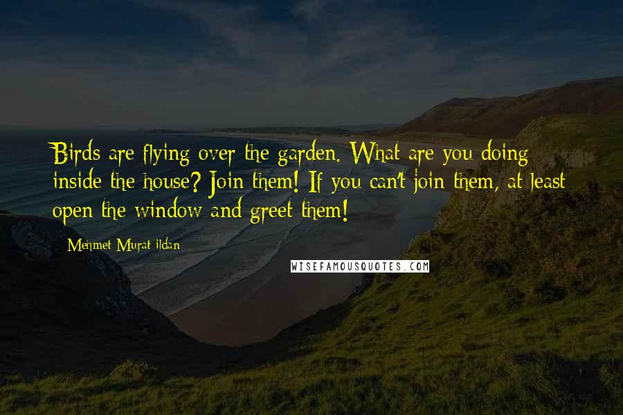 Mehmet Murat Ildan Quotes: Birds are flying over the garden. What are you doing inside the house? Join them! If you can't join them, at least open the window and greet them!