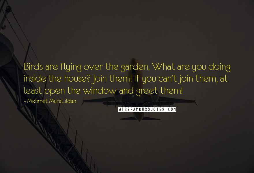 Mehmet Murat Ildan Quotes: Birds are flying over the garden. What are you doing inside the house? Join them! If you can't join them, at least open the window and greet them!