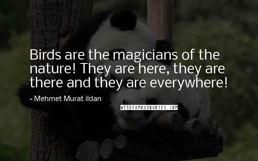 Mehmet Murat Ildan Quotes: Birds are the magicians of the nature! They are here, they are there and they are everywhere!