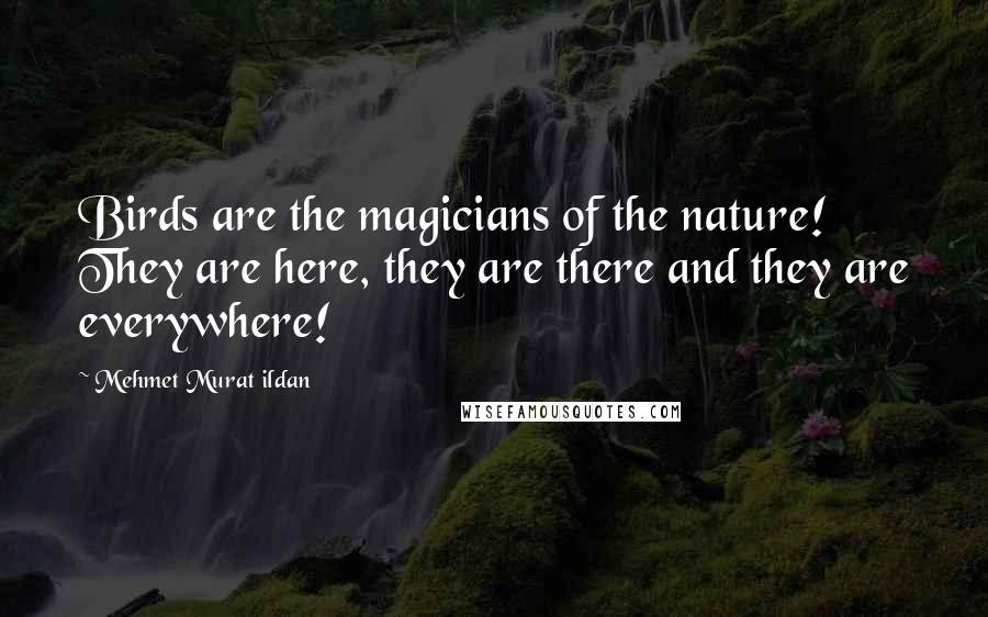 Mehmet Murat Ildan Quotes: Birds are the magicians of the nature! They are here, they are there and they are everywhere!