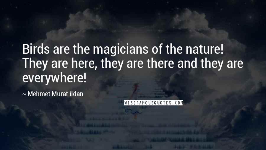 Mehmet Murat Ildan Quotes: Birds are the magicians of the nature! They are here, they are there and they are everywhere!