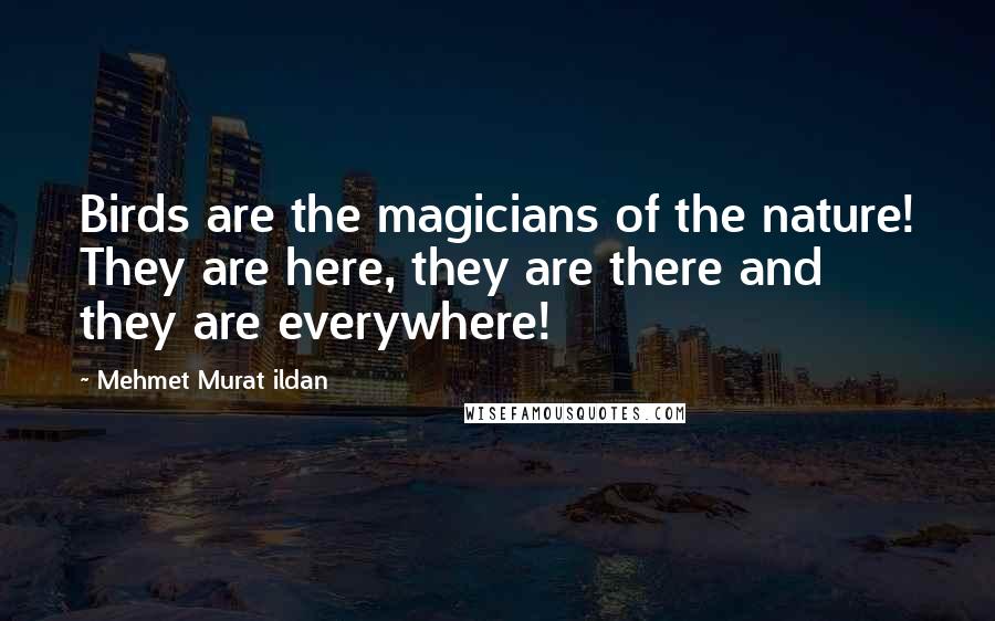 Mehmet Murat Ildan Quotes: Birds are the magicians of the nature! They are here, they are there and they are everywhere!