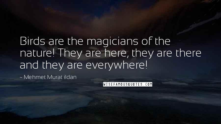 Mehmet Murat Ildan Quotes: Birds are the magicians of the nature! They are here, they are there and they are everywhere!