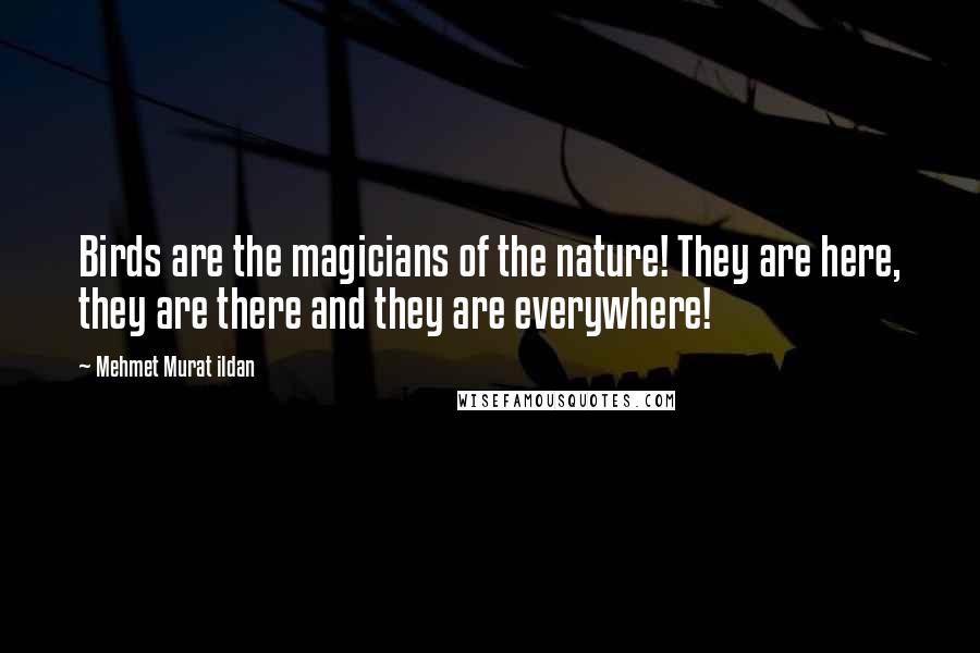 Mehmet Murat Ildan Quotes: Birds are the magicians of the nature! They are here, they are there and they are everywhere!