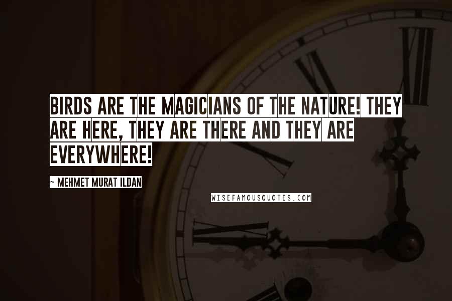 Mehmet Murat Ildan Quotes: Birds are the magicians of the nature! They are here, they are there and they are everywhere!