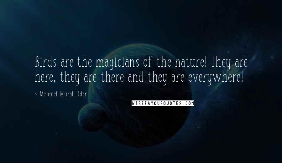 Mehmet Murat Ildan Quotes: Birds are the magicians of the nature! They are here, they are there and they are everywhere!