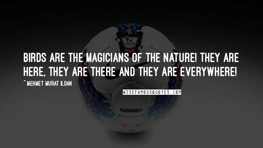 Mehmet Murat Ildan Quotes: Birds are the magicians of the nature! They are here, they are there and they are everywhere!