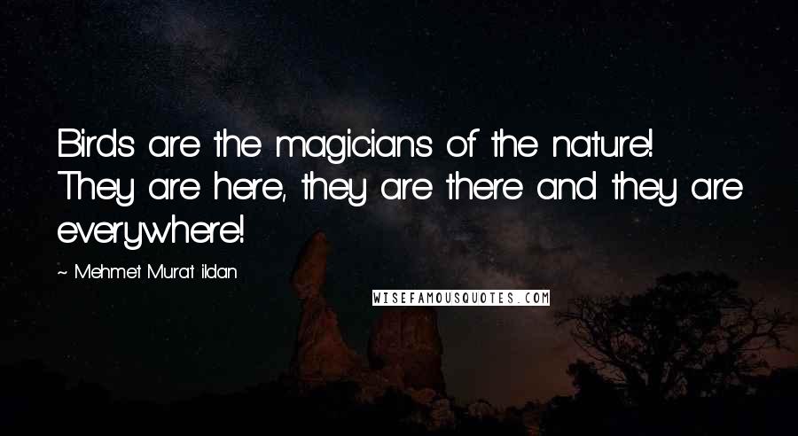 Mehmet Murat Ildan Quotes: Birds are the magicians of the nature! They are here, they are there and they are everywhere!