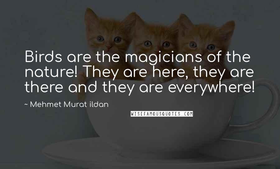 Mehmet Murat Ildan Quotes: Birds are the magicians of the nature! They are here, they are there and they are everywhere!