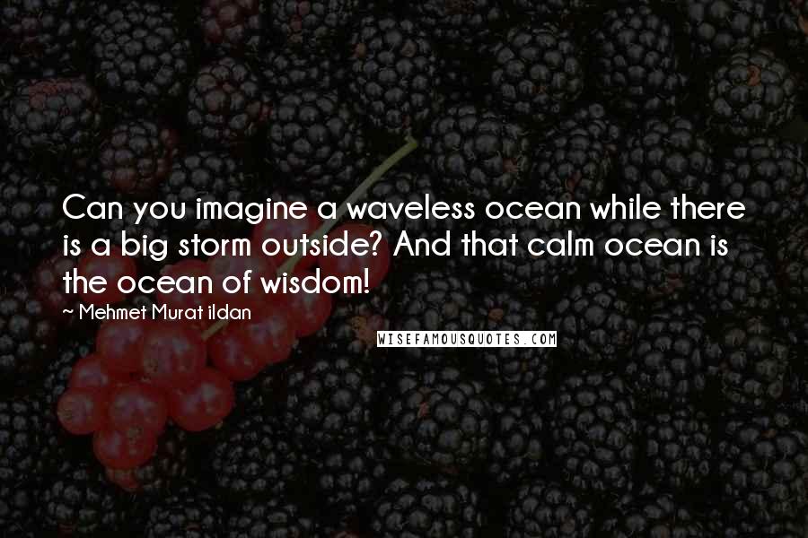 Mehmet Murat Ildan Quotes: Can you imagine a waveless ocean while there is a big storm outside? And that calm ocean is the ocean of wisdom!