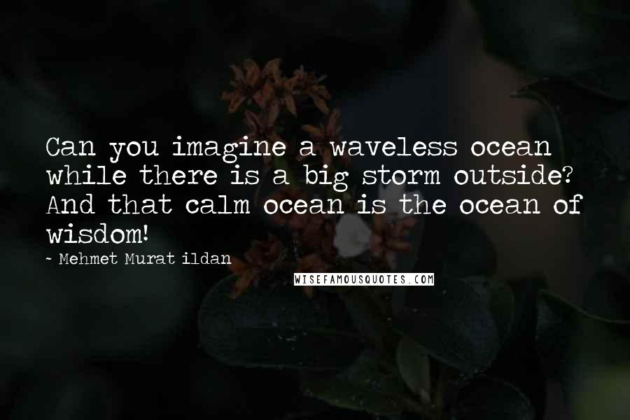 Mehmet Murat Ildan Quotes: Can you imagine a waveless ocean while there is a big storm outside? And that calm ocean is the ocean of wisdom!