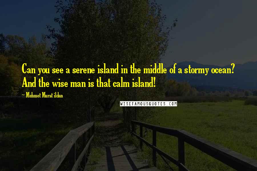 Mehmet Murat Ildan Quotes: Can you see a serene island in the middle of a stormy ocean? And the wise man is that calm island!