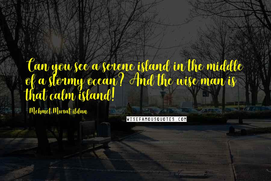 Mehmet Murat Ildan Quotes: Can you see a serene island in the middle of a stormy ocean? And the wise man is that calm island!